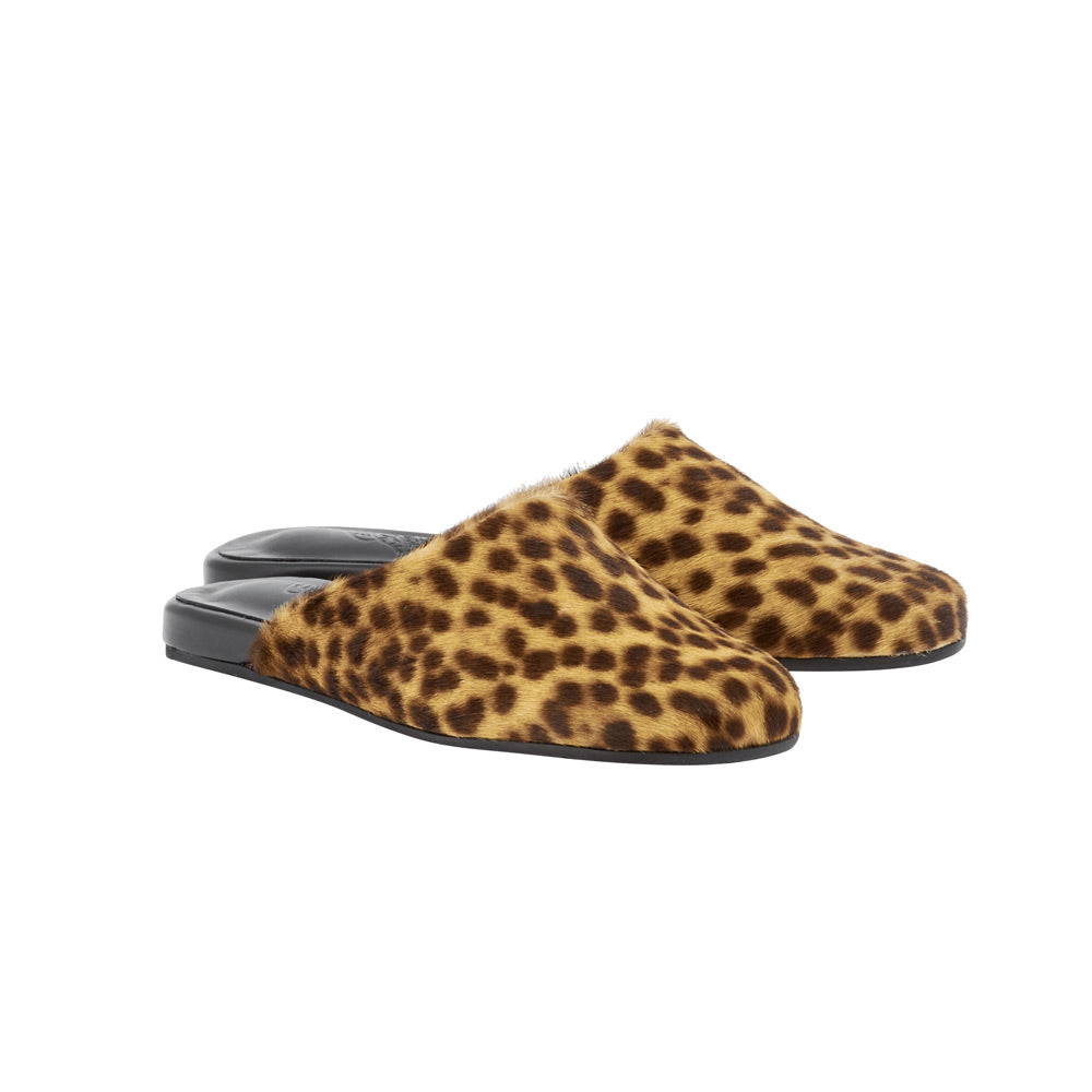 The Slipper In Lynx