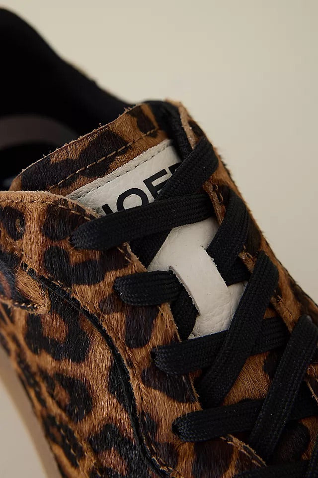 Alley Leopard
