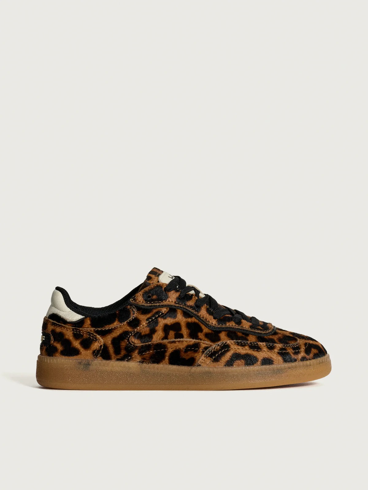 Alley Leopard