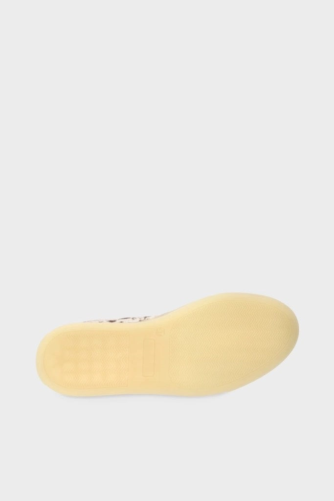 Hairy Leather Gazelle