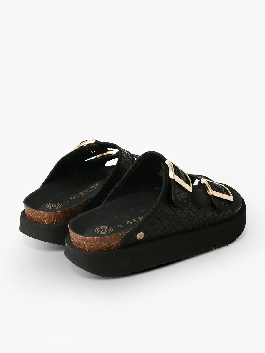 Hawaii Raffi Platform