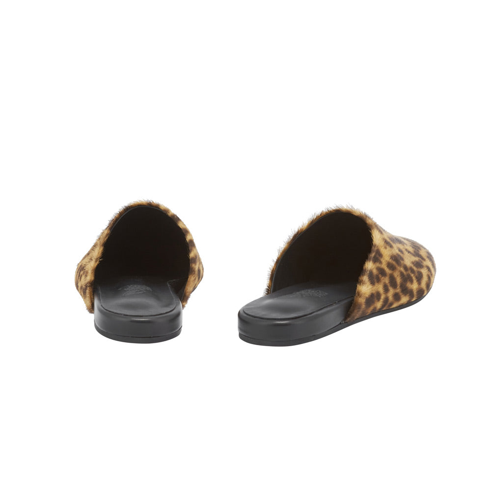 The Slipper In Lynx