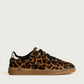 Alley Leopard