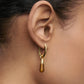 Tigers Eye Jupiter Earring