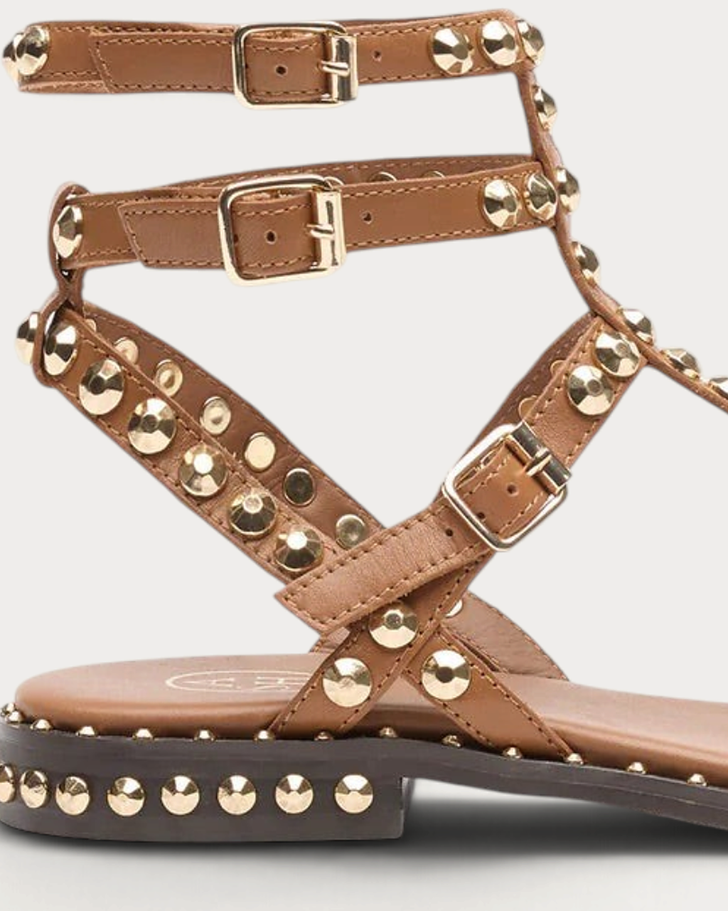 Ash Gladiator studded sandal in cinnamon - buckle stud detail