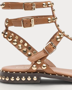 Ash Gladiator studded sandal in cinnamon - buckle stud detail
