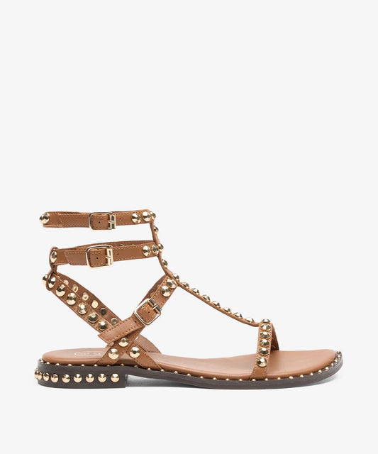 Gladiator Studded Sandal In Cinnamon