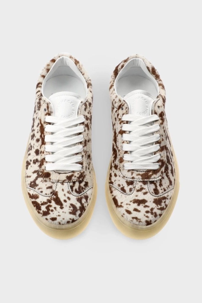 Hairy Leather Gazelle