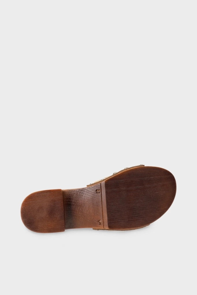 Suede Wooden Clog Sandal