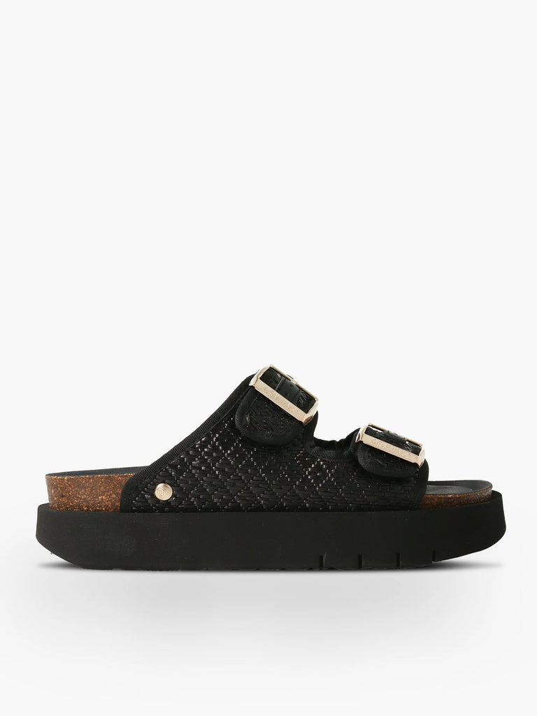 Hawaii Raffi Platform