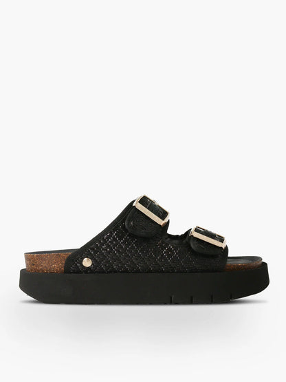 Hawaii Raffi Platform