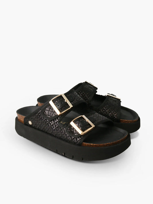 Hawaii Raffi Platform