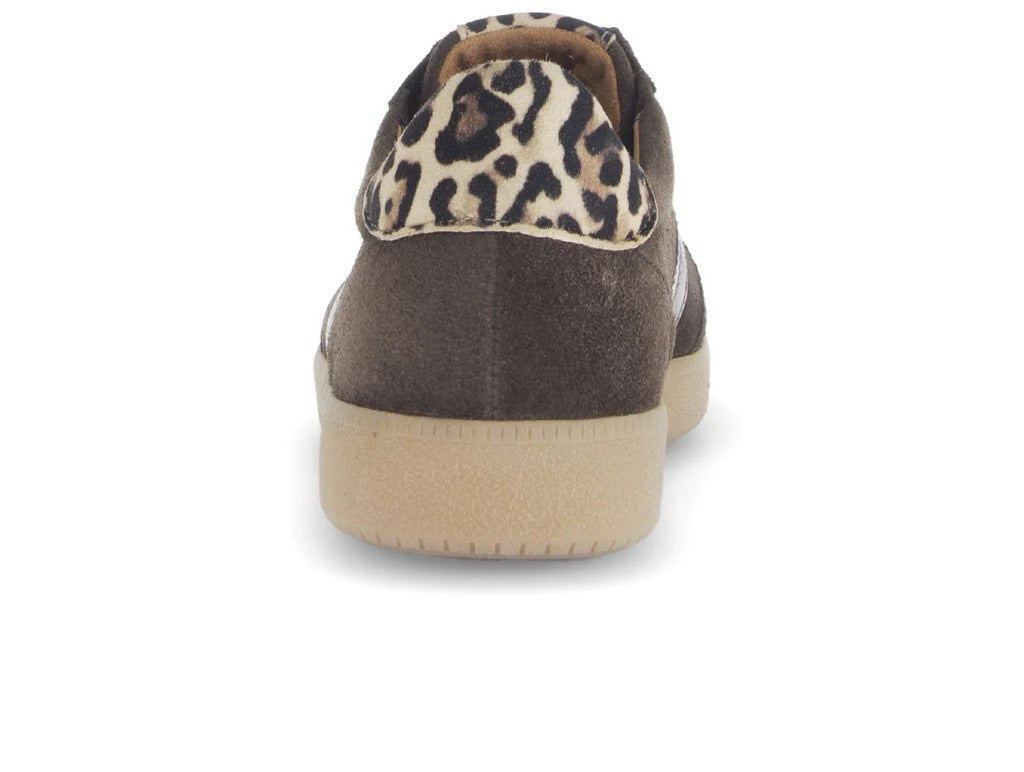 Dreamy Brown Sneaker