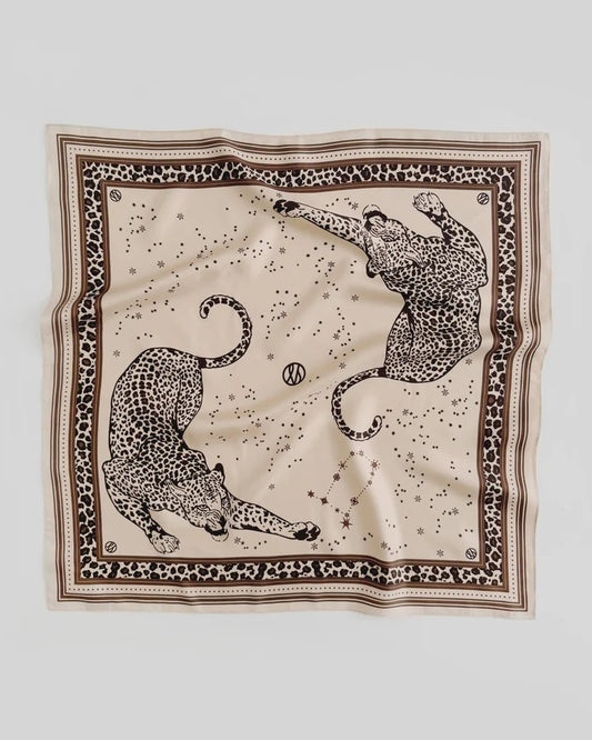 Gemini In Sand With Leo