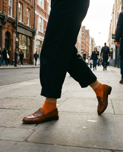 London Golden Poppy